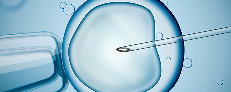 ivf1